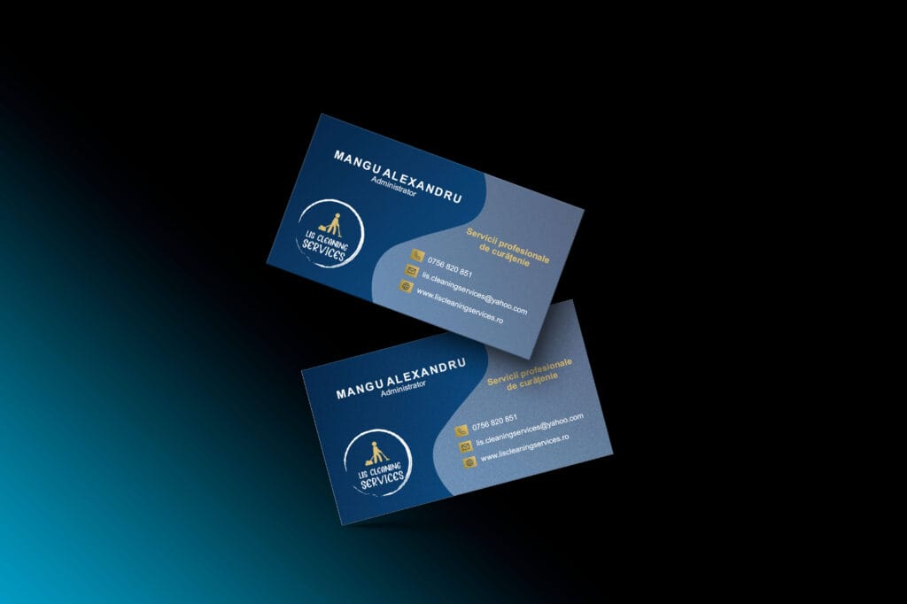 Lis cleaning services