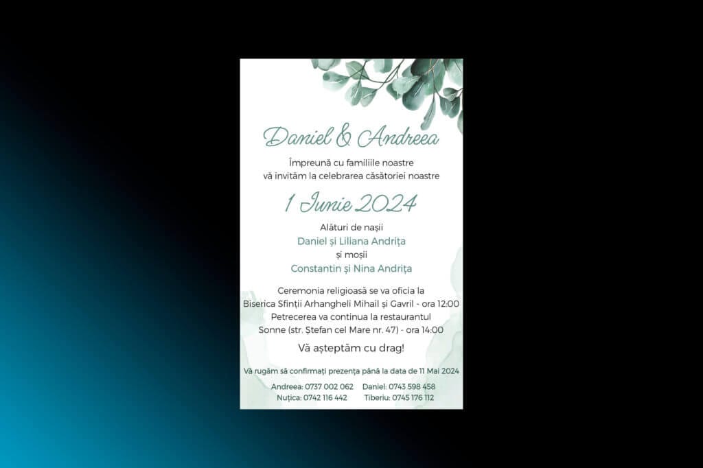 Daniel & Andreea